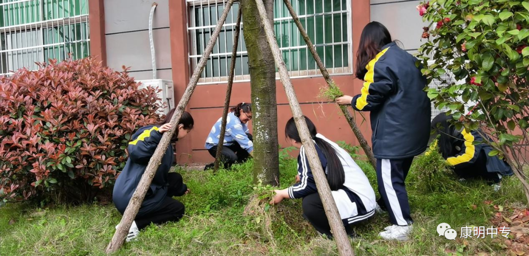 长沙康明中等职业学校、中医护理、美容美体、中医保健康复，长沙全日制中等职业学校